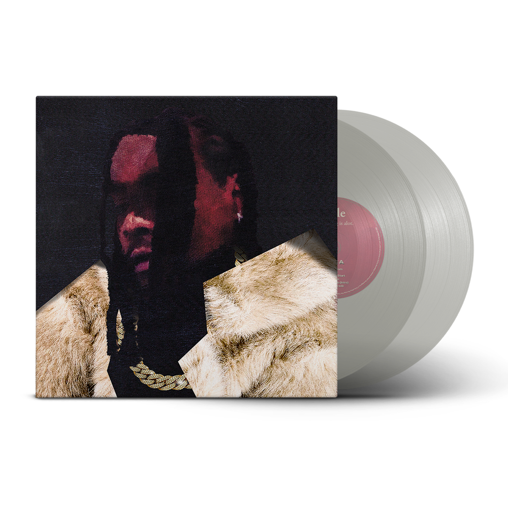 Wale - everything is a lot. (2LP Golden Mirage Vinyl)