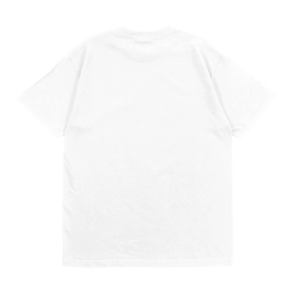Ark To Agartha T-Shirt Back